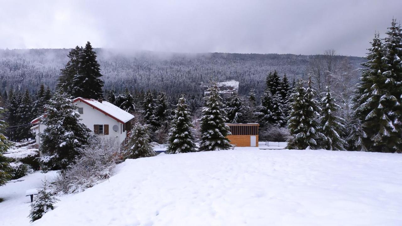 Maison Familiale 3 Chambres Au Calme Dans La Nature Gerardmer Bagian luar foto